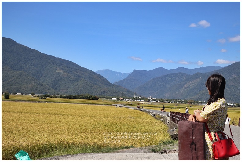 池上天堂路-2020-10-18.jpg