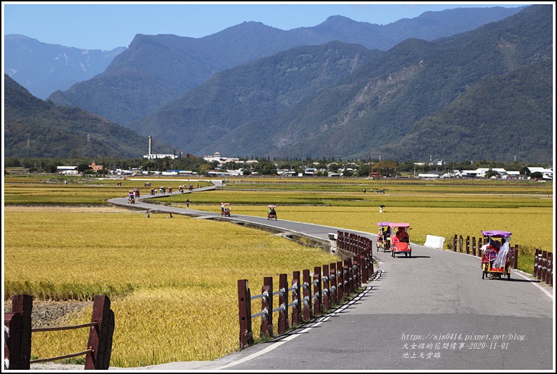 池上天堂路-2020-10-19.jpg