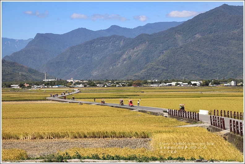 池上天堂路-2020-10-17.jpg