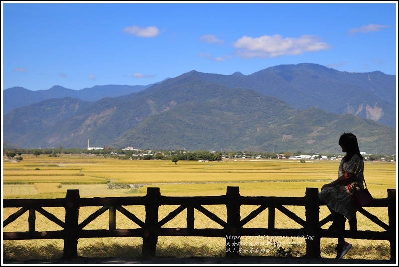 池上黃金稻田-2020-10-47.jpg