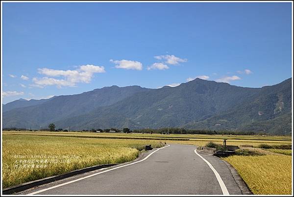 池上黃金稻田-2020-10-31.jpg