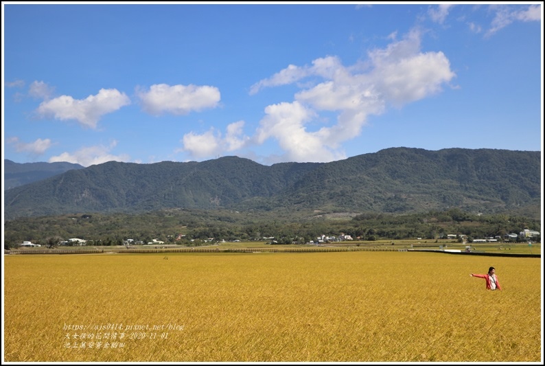 池上黃金稻田-2020-10-62.jpg