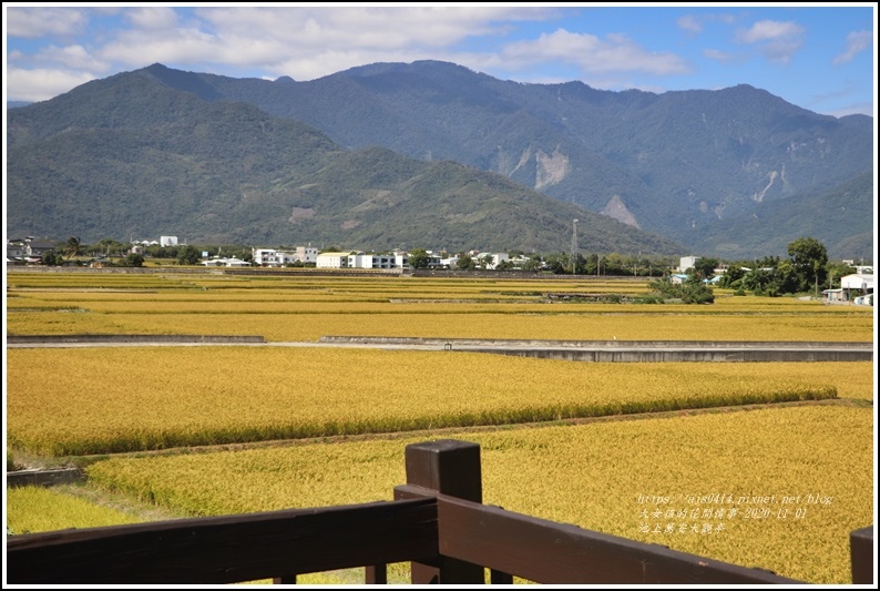 池上萬安大觀亭-2020-10-18.jpg