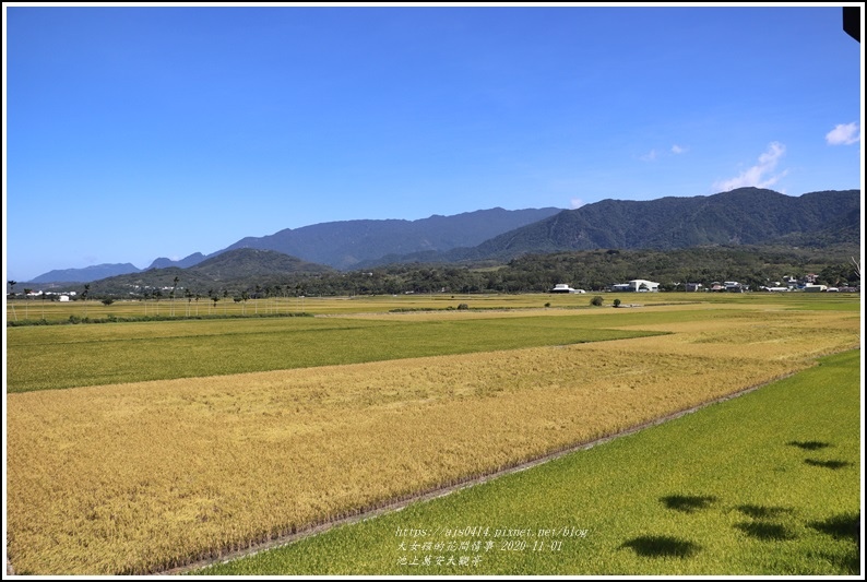 池上萬安大觀亭-2020-10-11.jpg