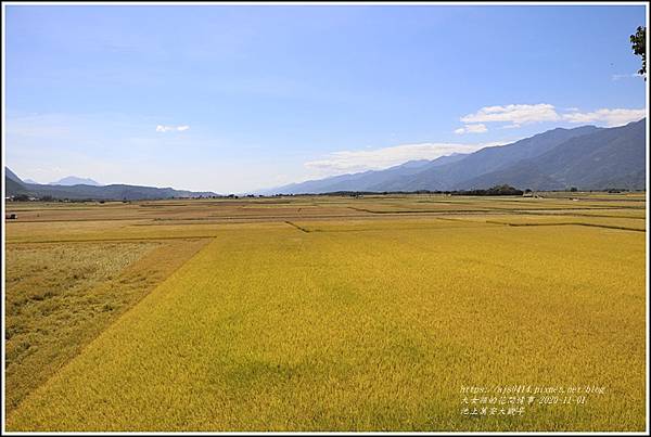 池上萬安大觀亭-2020-10-05.jpg