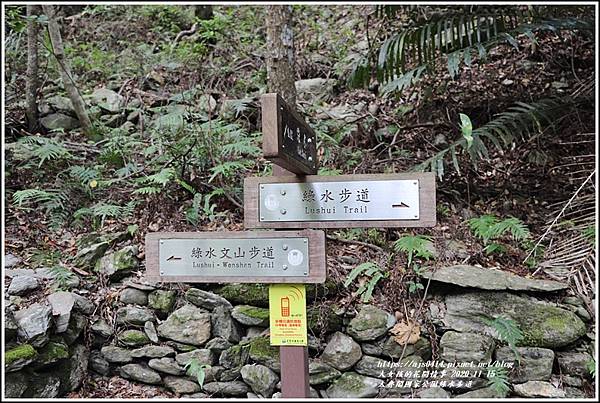 太魯閣國家公園綠水步道-2020-11-09.jpg