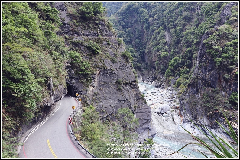太魯閣國家公園綠水步道-2020-11-40.jpg 太魯閣國家公園綠水步道-2020-11-40.jpg