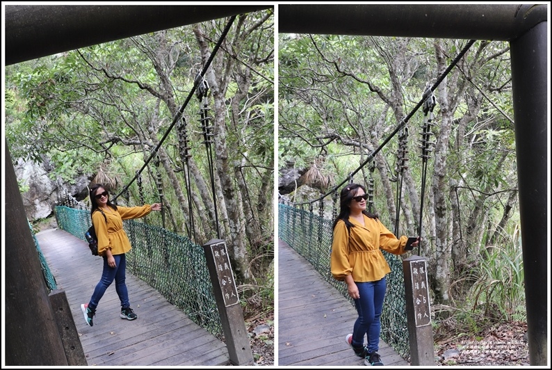 太魯閣國家公園綠水步道-2020-11-73.jpg 太魯閣國家公園綠水步道-2020-11-73.jpg