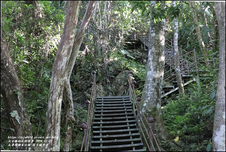 太魯閣國家公園得卡倫步道-2020-11-70.jpg 太魯閣國家公園得卡倫步道-2020-11-70.jpg