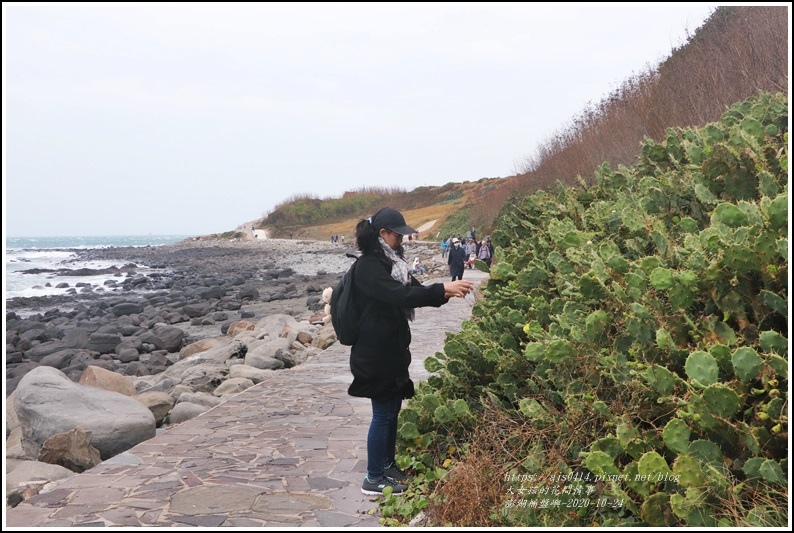 澎湖桶盤嶼-2020-10-17.jpg