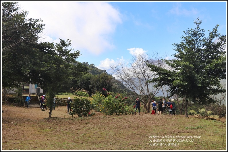 大禮步道(大禮部落)-2020-11-84.jpg