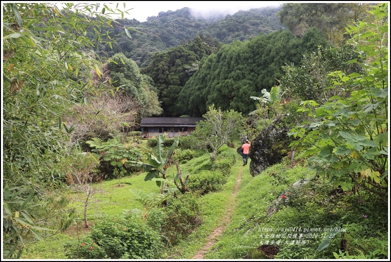 大禮步道(大禮部落)-2020-11-82.jpg