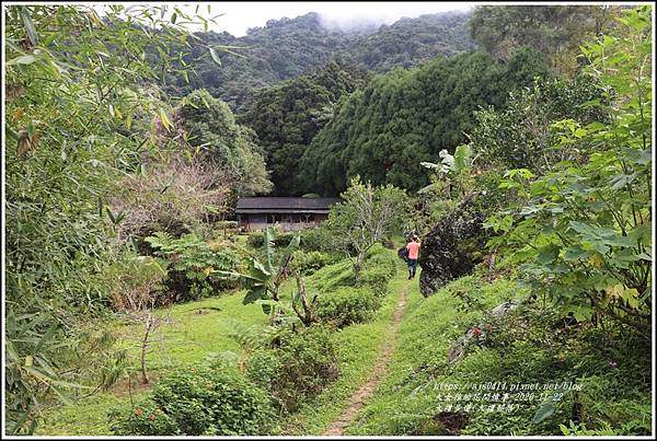 大禮步道(大禮部落)-2020-11-82.jpg