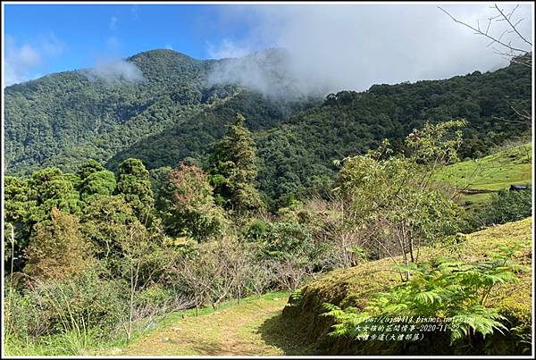 大禮步道(大禮部落)-2020-11-62.jpg