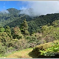 大禮步道(大禮部落)-2020-11-62.jpg