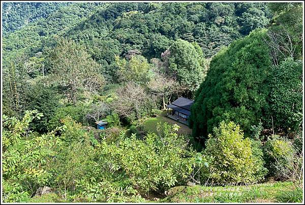 大禮步道(大禮部落)-2020-11-65.jpg