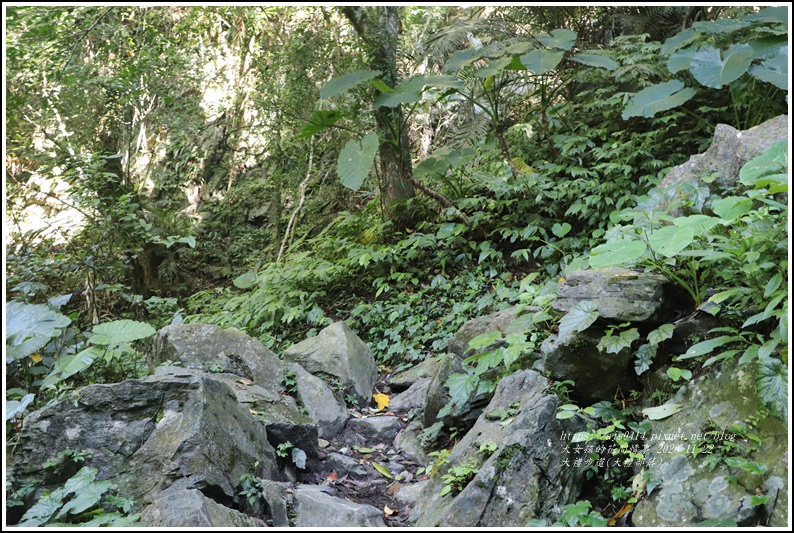 大禮步道(大禮部落)-2020-11-21.jpg