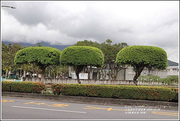 台9線鳳林段(榕樹)-2020-12-07.jpg