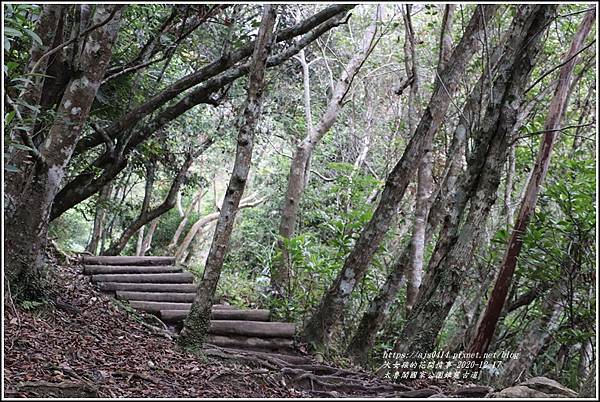 太魯閣國家公園錐麓古道-2020-12-61.jpg