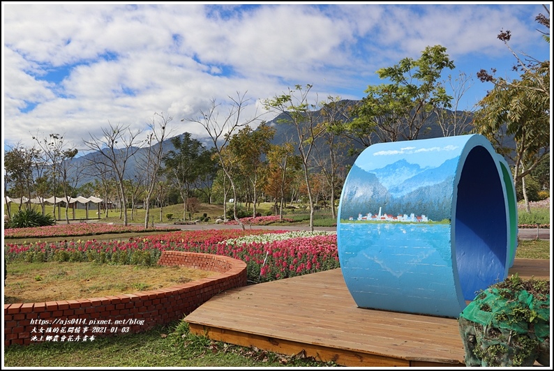 台東 21年池上鄉農會花卉畫布 新年走春 繽紛的花海 心動盪漾 賞花遊拍 輕旅行