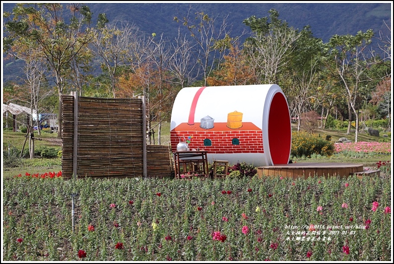 台東 21年池上鄉農會花卉畫布 新年走春 繽紛的花海 心動盪漾 賞花遊拍 輕旅行