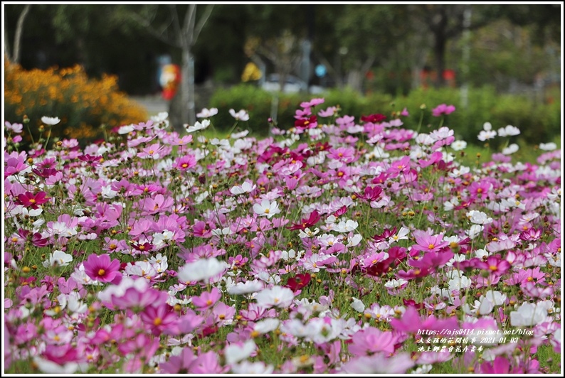 池上鄉農會花卉畫布-2021-01-21.jpg