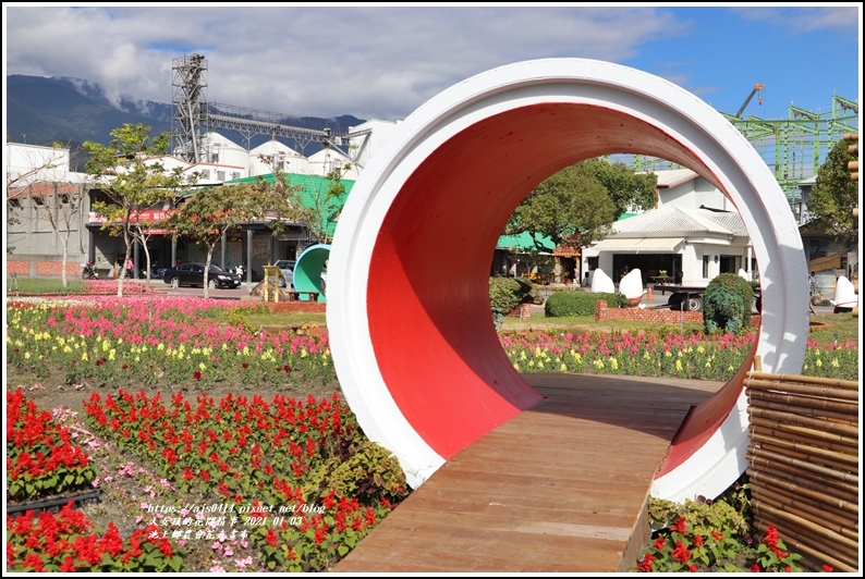 台東 21年池上鄉農會花卉畫布 新年走春 繽紛的花海 心動盪漾 賞花遊拍 輕旅行