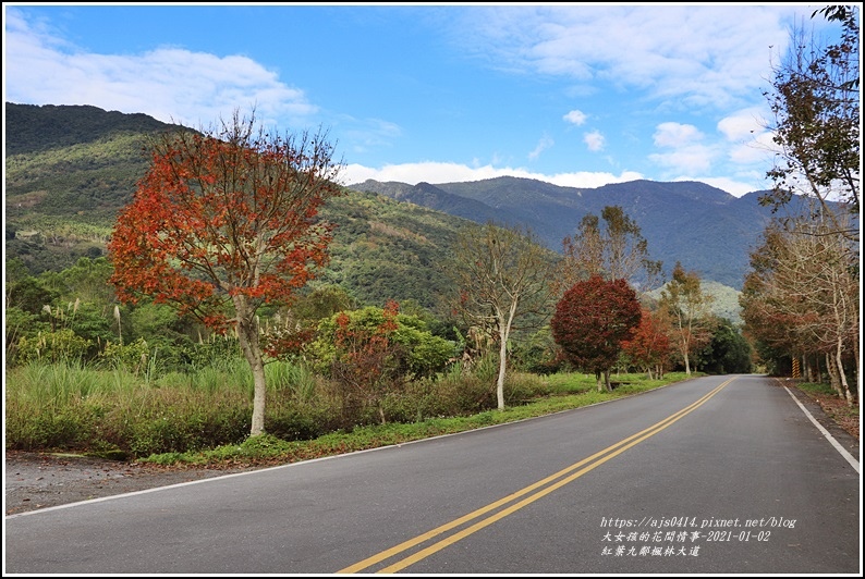 紅葉9鄰楓林大道-2021-01-20.jpg