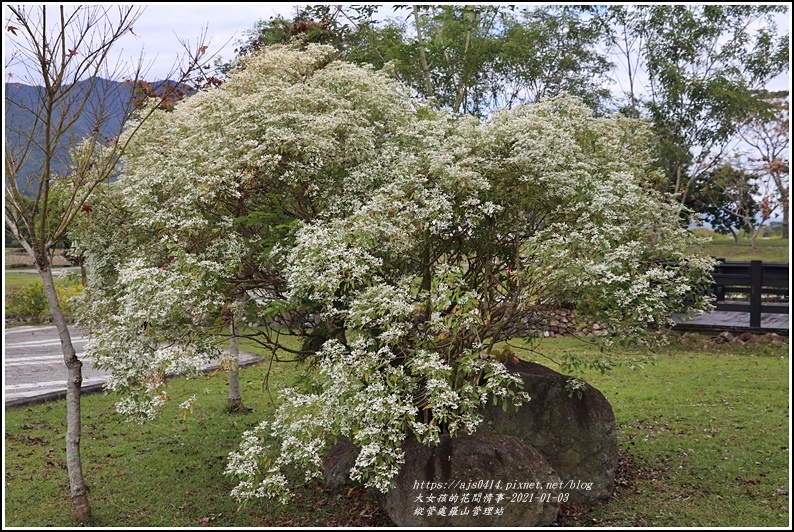 縱管處羅山管理站-2021-01-27.jpg