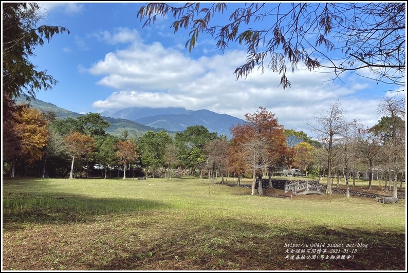 光復森林公園(落羽松)-2021-01-18.jpg