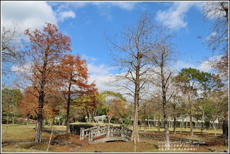 光復森林公園(落羽松)-2021-01-07.jpg