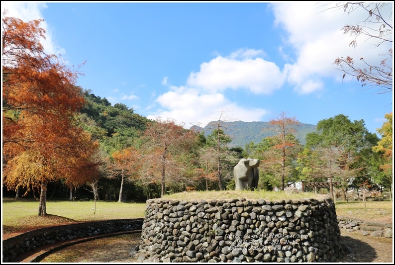 光復森林公園(落羽松)-2021-01-06.jpg