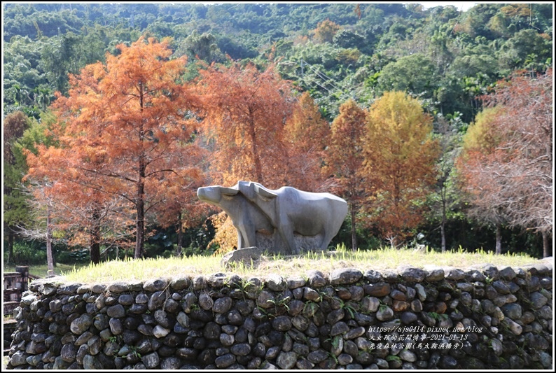 光復森林公園(落羽松)-2021-01-10.jpg