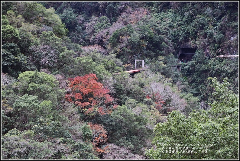 太魯閣水文山步道-2021-01-02.jpg 太魯閣水文山步道-2021-01-02.jpg
