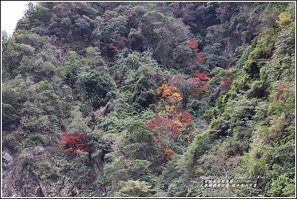 太魯閣水文山步道-2021-01-04.jpg