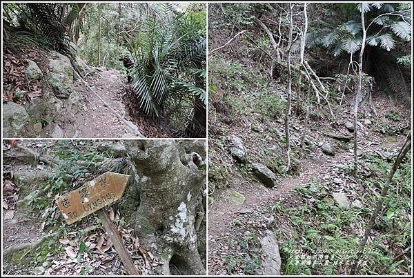 太魯閣水文山步道-2021-01-25.jpg