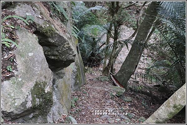 太魯閣水文山步道-2021-01-37.jpg