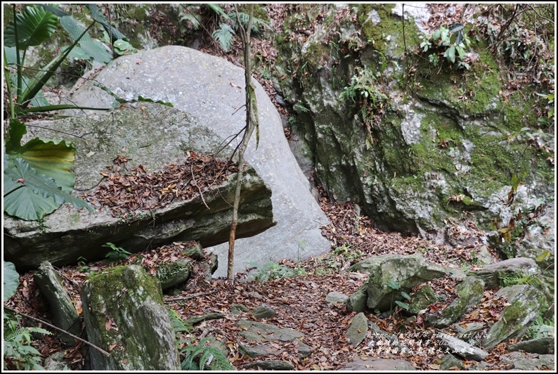 太魯閣水文山步道-2021-01-60.jpg