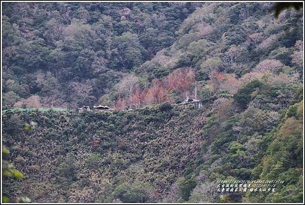 太魯閣水文山步道-2021-01-75.jpg