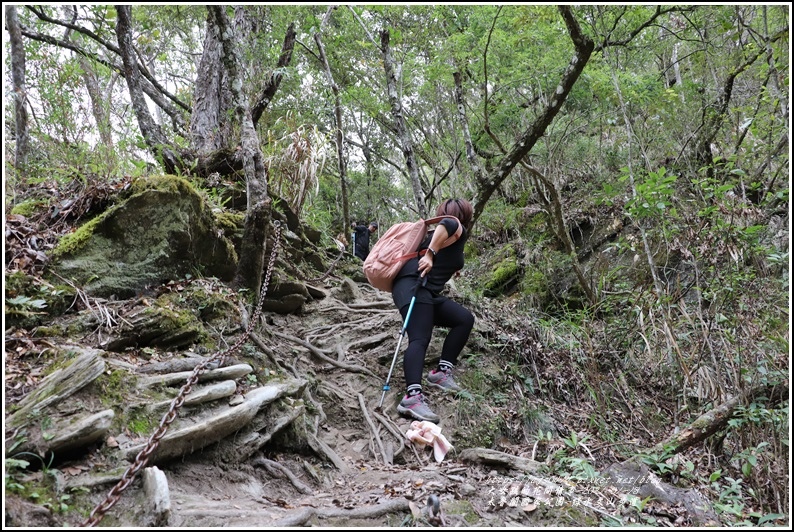 太魯閣水文山步道-2021-01-89.jpg 太魯閣水文山步道-2021-01-89.jpg