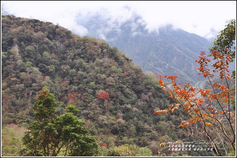 太魯閣水文山步道-2021-01-102.jpg