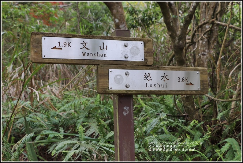 太魯閣水文山步道-2021-01-108.jpg