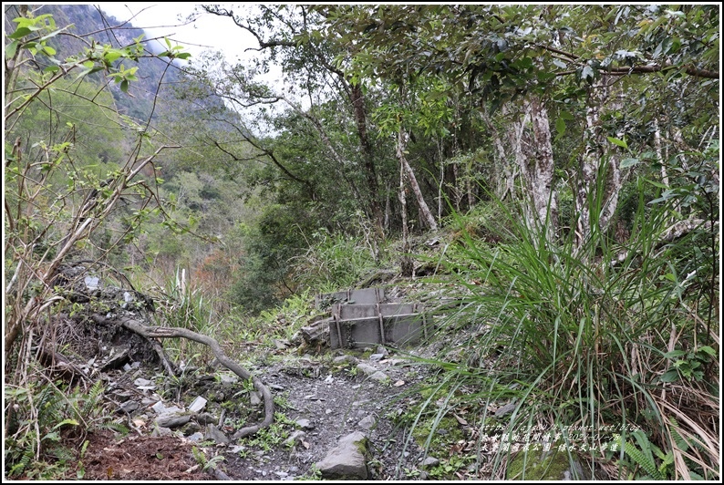 太魯閣水文山步道-2021-01-111.jpg