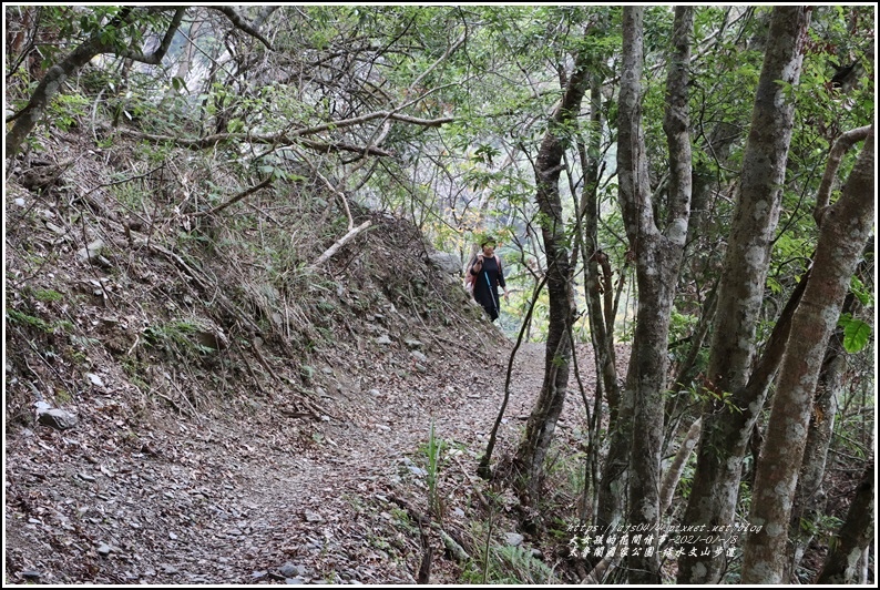 太魯閣水文山步道-2021-01-171.jpg