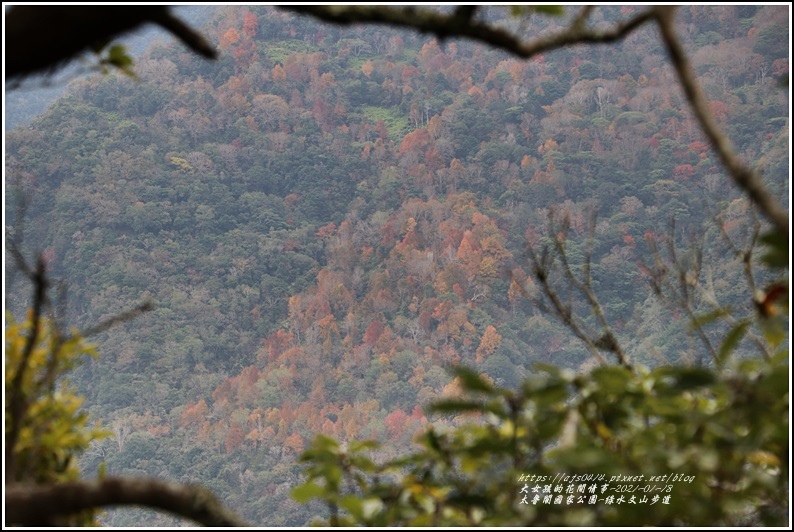 太魯閣水文山步道-2021-01-173.jpg