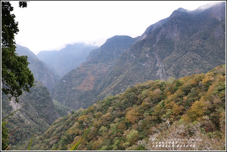 太魯閣水文山步道-2021-01-178.jpg