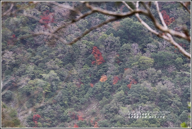 太魯閣水文山步道-2021-01-191.jpg