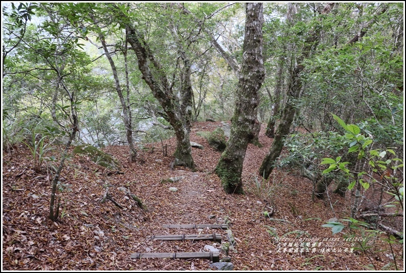 太魯閣水文山步道-2021-01-205.jpg