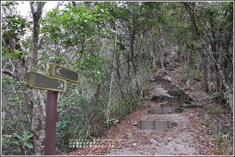 太魯閣水文山步道-2021-01-215.jpg