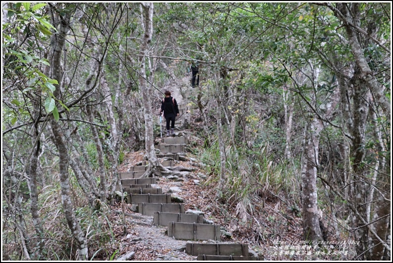 太魯閣水文山步道-2021-01-220.jpg 太魯閣水文山步道-2021-01-220.jpg